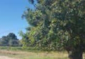 Suelo urbano en venta en la España, Montserrat, ref: TR378320 foto