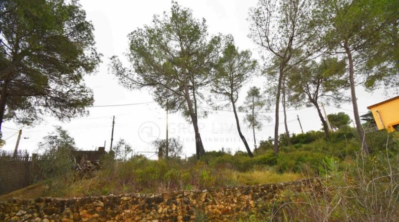Barcelona - Olivella - 801m2