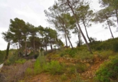 Suelo urbano en venta en la España, Olivella, ref: TR402441 foto