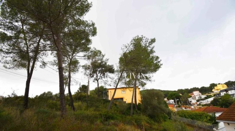 Barcelona - Olivella - 801m2