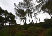 Suelo urbano en venta en la España, Olivella, ref: TR402441 foto