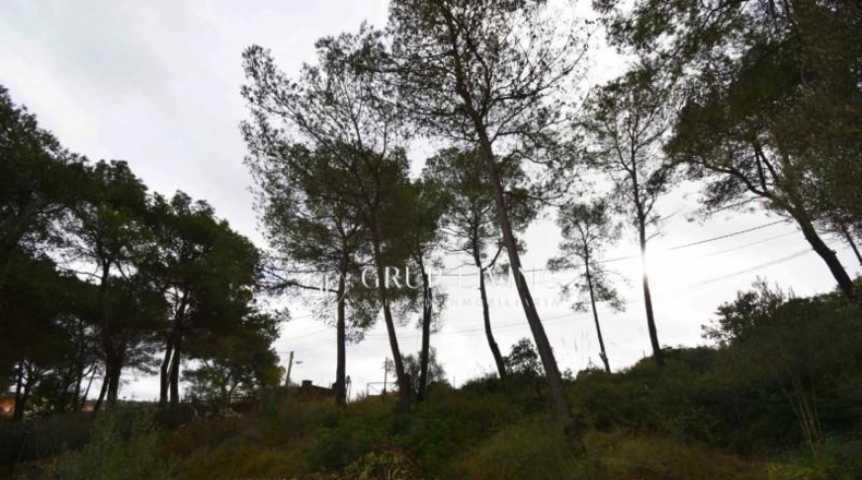 Barcelona - Olivella - 801m2