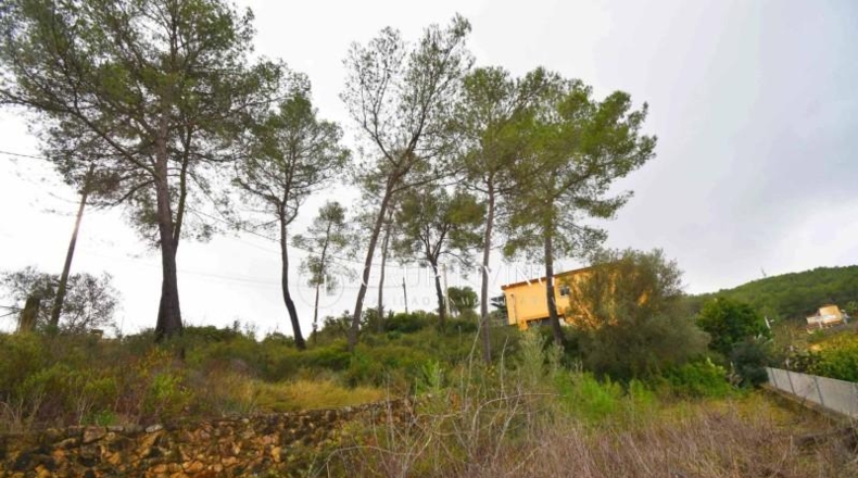 Barcelona - Olivella - 801m2