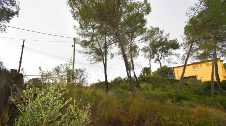 Barcelona - Olivella - 801m2