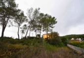 Suelo urbano en venta en la España, Olivella, ref: TR402441 foto