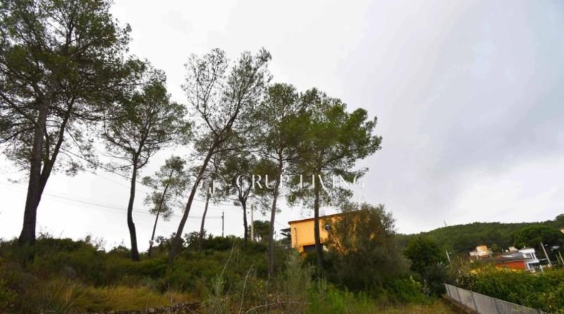 Barcelona - Olivella - 801m2