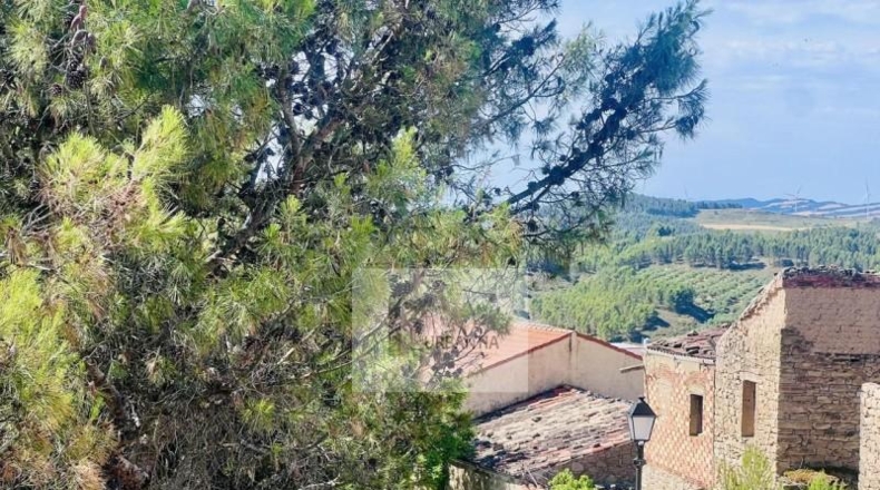 Navarra - Larraga - 435m2