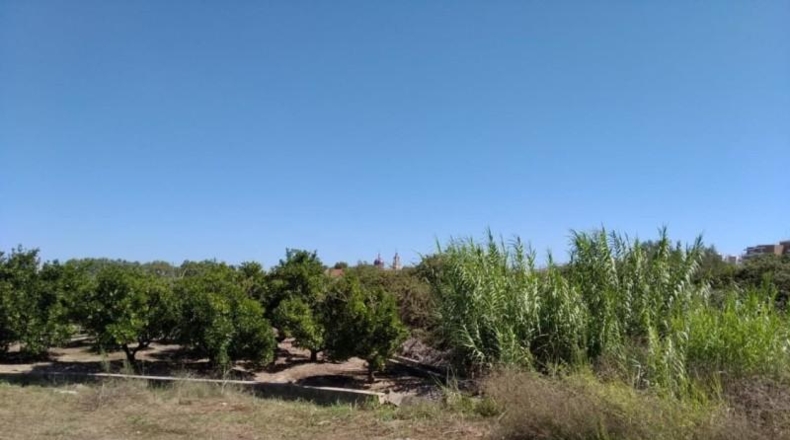 Valencia - Sueca - 1415m2