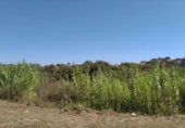 Parcela urbanizable en venta en la España, Sueca, ref: TR380640 foto