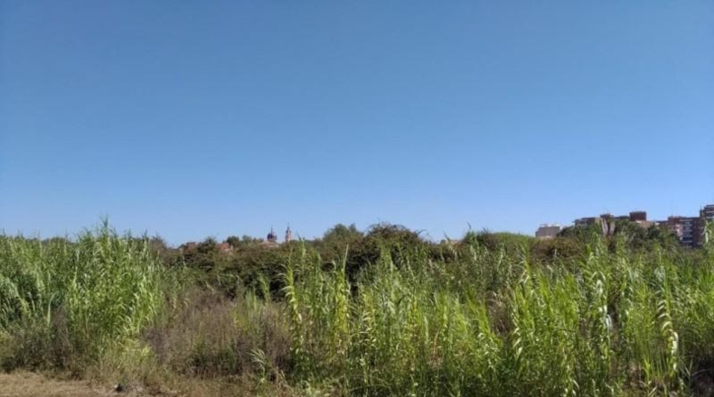 Valencia - Sueca - 1415m2