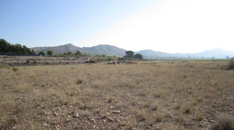 Alicante - la Romana - 9700m2