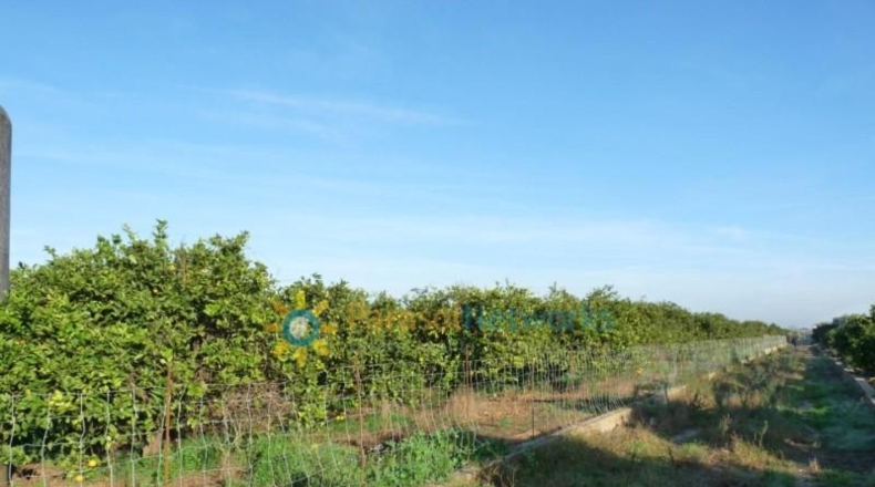 Zamora - Fuentes de Ropel - 14707m2