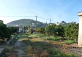 Casa con terreno en venta en la España, Oliva, ref: TR346088 foto