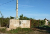 Casa con terreno en venta en la España, Oliva, ref: TR346088 foto