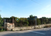Casa con terreno en venta en la España, Oliva, ref: TR346088 foto