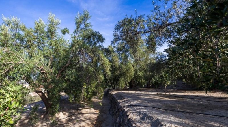 Granada - Талара́ - 15000m2