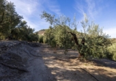 Terreno no urbanizable en venta en la España, Talará, ref: TR362719 foto