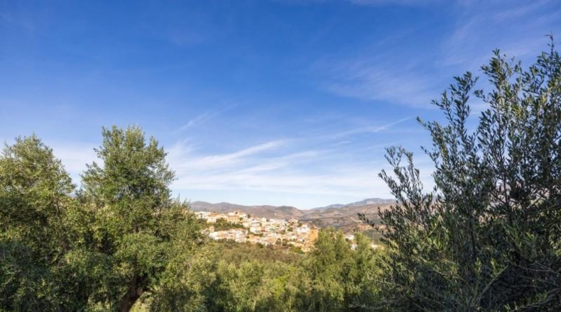 Granada - Талара́ - 15000m2
