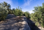 Terreno no urbanizable en venta en la España, Talará, ref: TR362719 foto