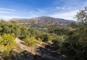 Terreno no urbanizable en venta en la España, Talará, ref: TR362719 foto