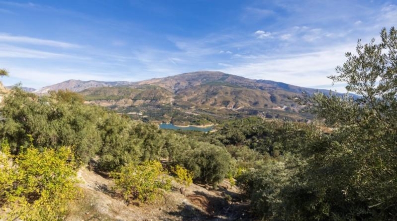 Granada - Талара́ - 15000m2