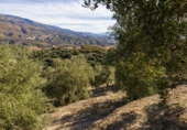 Terreno no urbanizable en venta en la España, Talará, ref: TR362719 foto