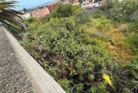 Las Palmas de Gran Canaria 345&nbsp;m²
