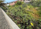 Parcela urbanizable en venta en la España, Las Palmas de Gran Canaria, ref: TR414368 foto