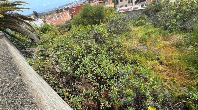 Las Palmas - Las Palmas de Gran Canaria - 345m2