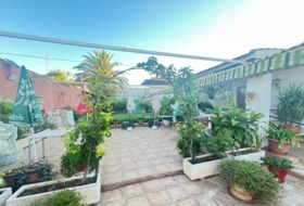 Malagón 485&nbsp;m²