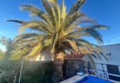 Chalet independiente con terreno en venta en la España, Malagón, ref: TR351848 foto