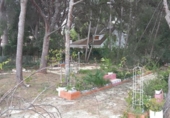 Urban land for sale on España, Serra, ref: TR408584 photo