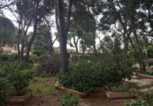 Urban land for sale on España, Serra, ref: TR408584 photo
