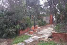 Foto 9