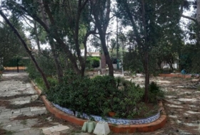Foto 14