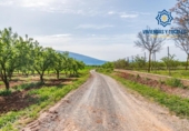 Terreno no urbanizable en venta en la España, Padul, ref: TR243572 foto