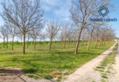 Terreno no urbanizable en venta en la España, Padul, ref: TR243572 foto