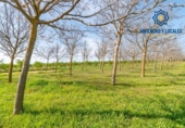 Terreno no urbanizable en venta en la España, Padul, ref: TR243572 foto