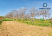 Terreno no urbanizable en venta en la España, Padul, ref: TR243572 foto