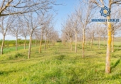 Terreno no urbanizable en venta en la España, Padul, ref: TR243572 foto