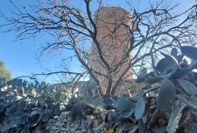 Foto 15