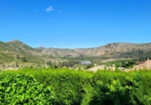 Xalet independent amb terreny en venda a la España, Ador, ref.: TR408749 foto