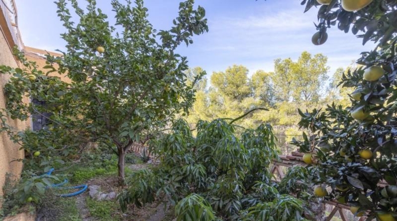 Granada - Almuñécar - 520m2