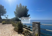 Detached villa with land for sale on España, Lloret de Mar, ref: TR153307 photo
