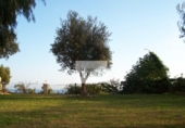 Detached villa with land for sale on España, Lloret de Mar, ref: TR153307 photo