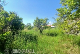 Nules 889&nbsp;m²
