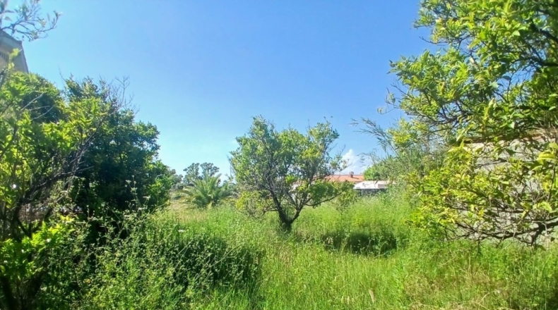 Castellon - Nules - 889m2