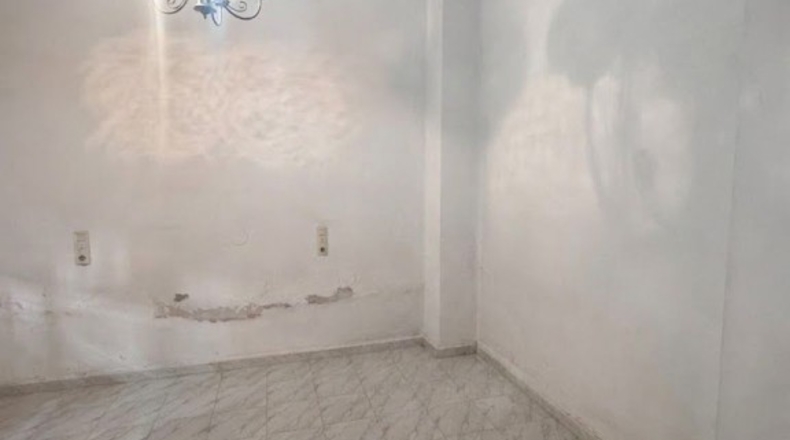 Valencia - Albal - 304m2