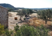 Terreny no urbanitzable en venda a Casp ref.: TR414432 foto