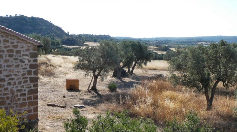 Zaragoza - Caspe - 56200m2